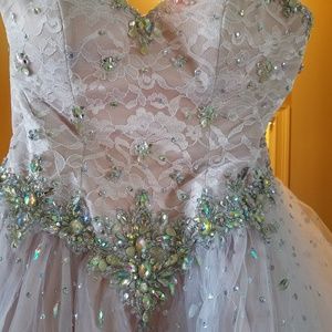 Blush princess gown custom jeweled & corset back